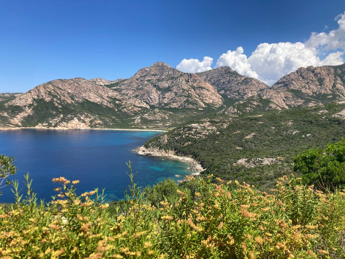 Retour à Calvi