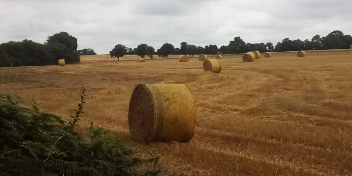 J'adore ça moi ces gros tas de foin qui parsèment les champs après la récolte.