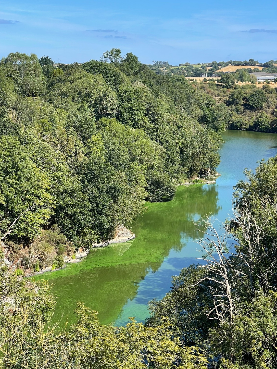 Panorama depuis le viaduc