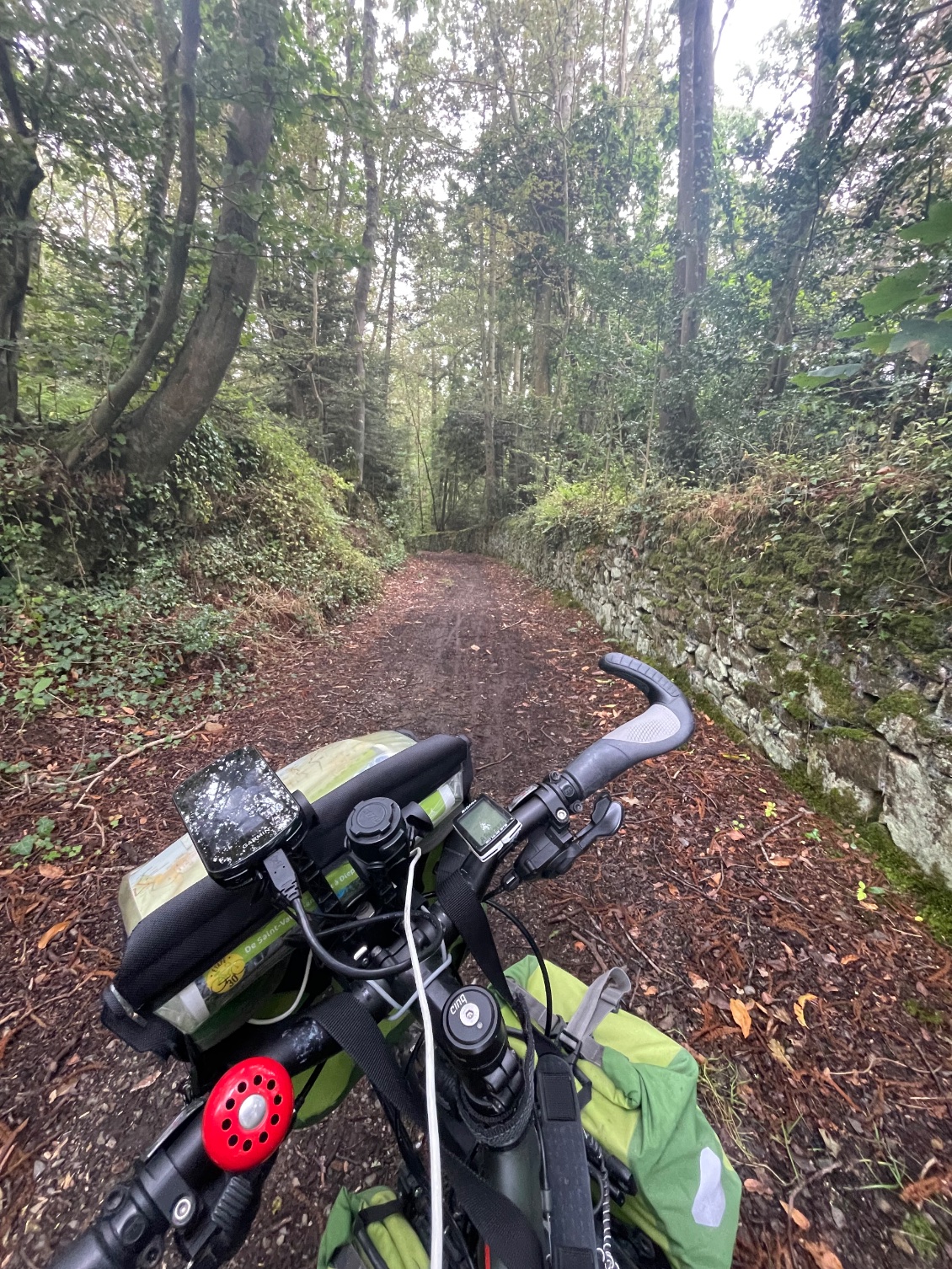 Toujours à Cadoret. Je m’enfonce dans la forêt