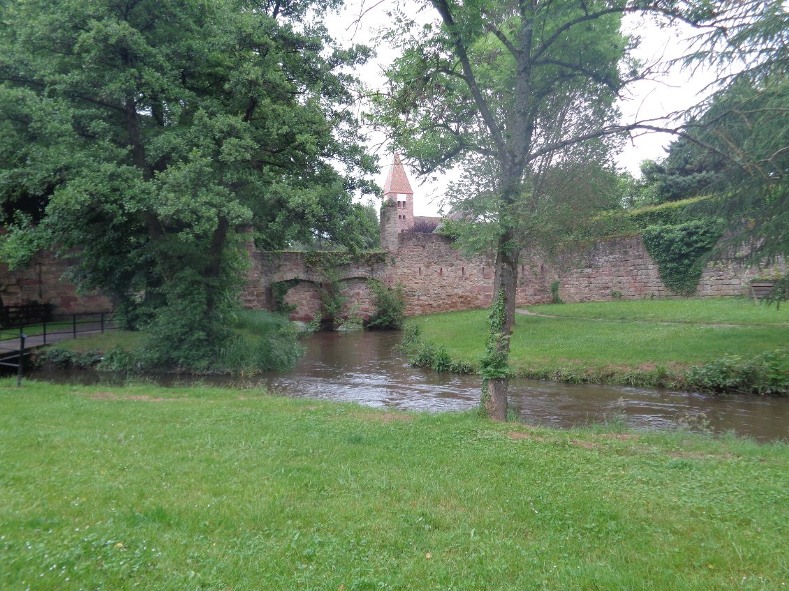 Petit coin champêtre en pleine ville.