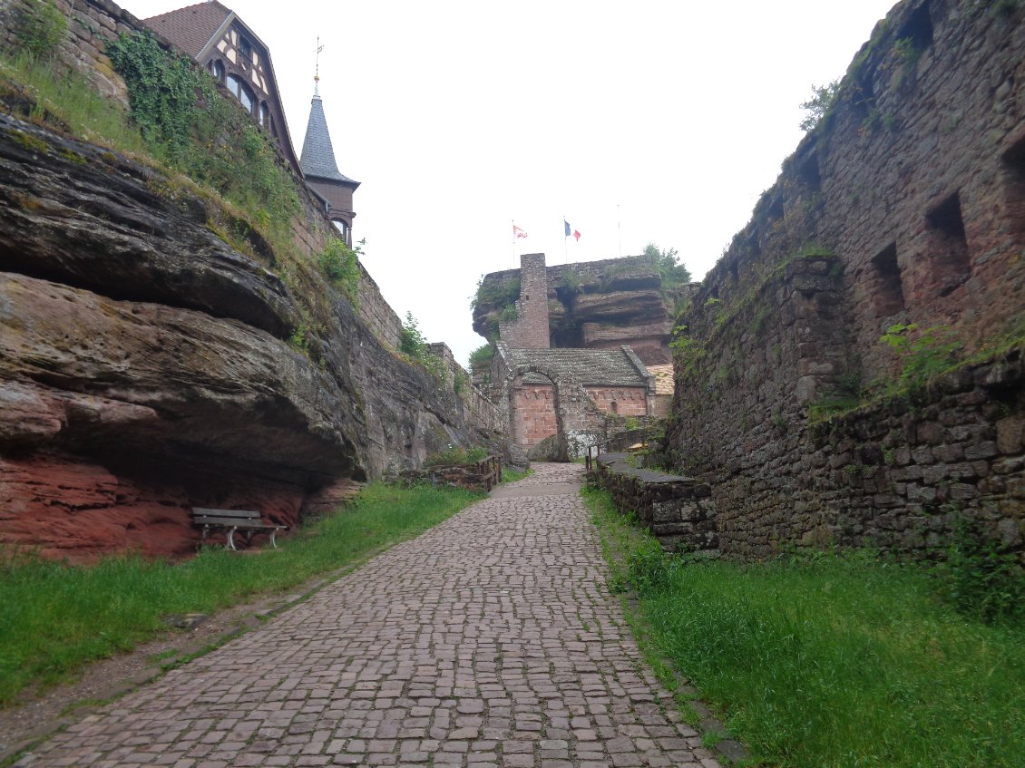 L'entrée du château du Haut Barr.