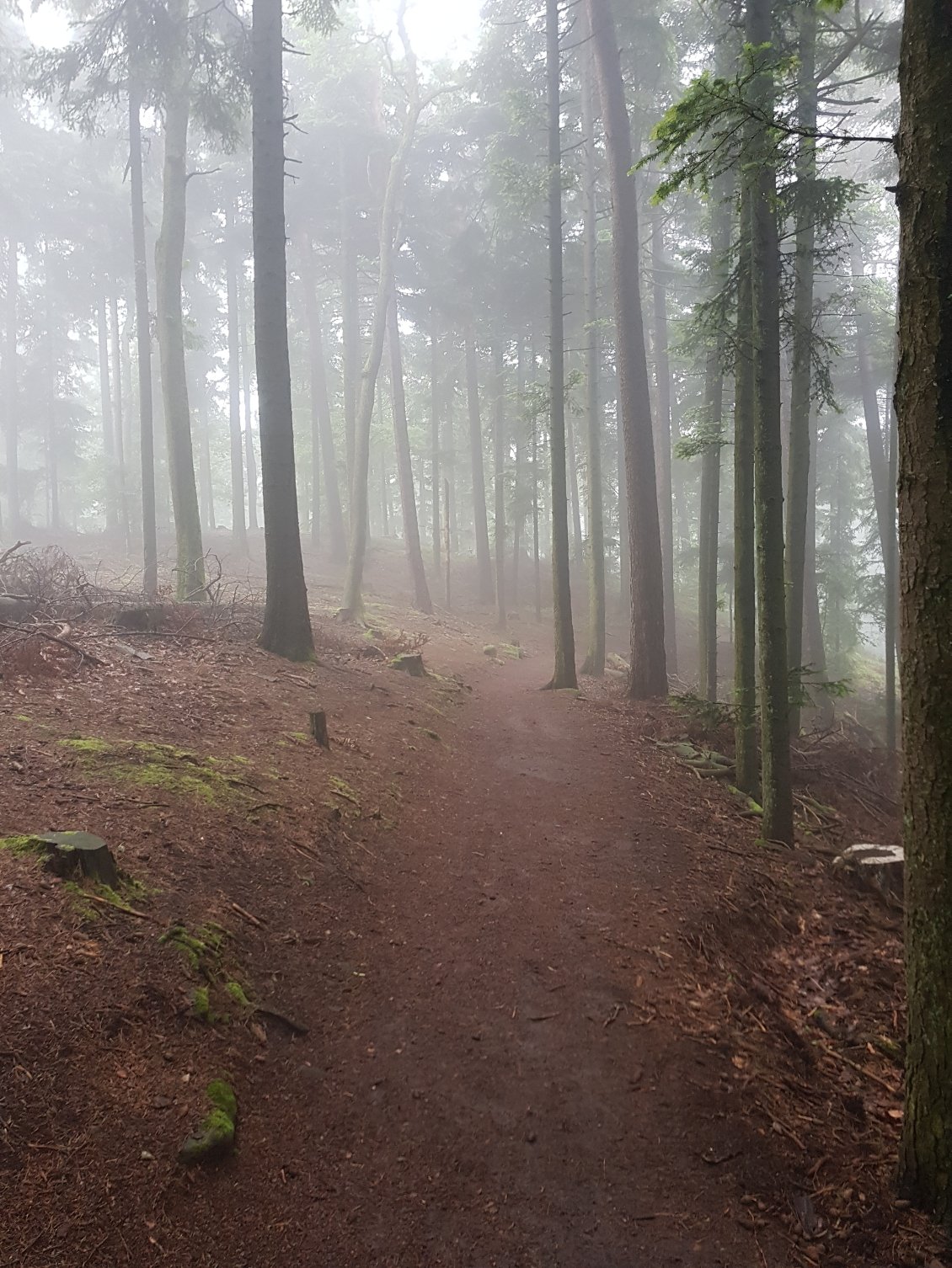 Et toujours cette ambiance brumeuse.