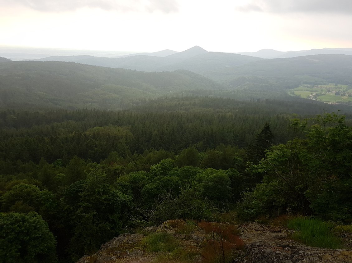 Point de vue du rocher à côté de l'abri du Birkenfels.