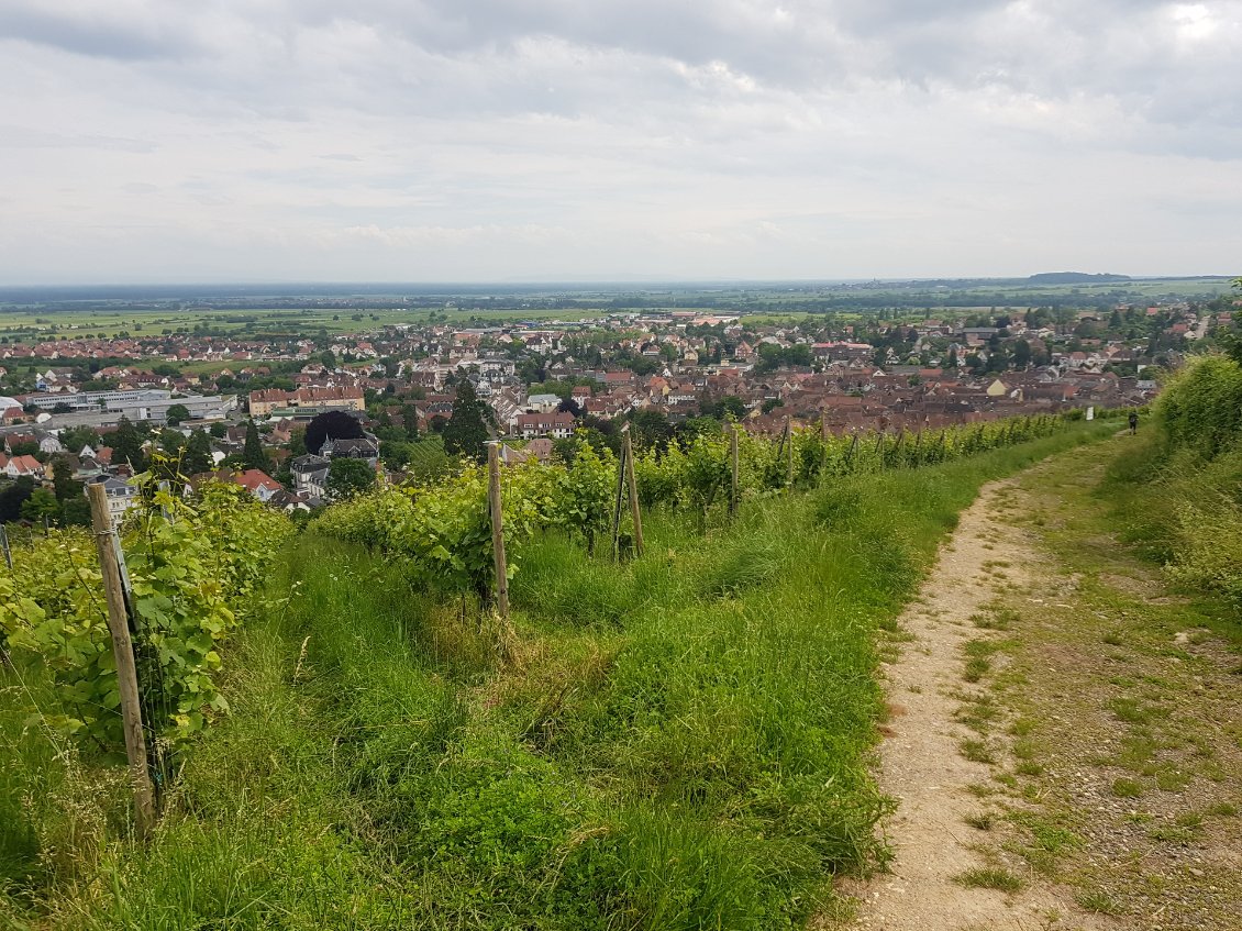 Arrivée sur les hauteurs de Barr (avec la silhouette d'Arthur, devant)