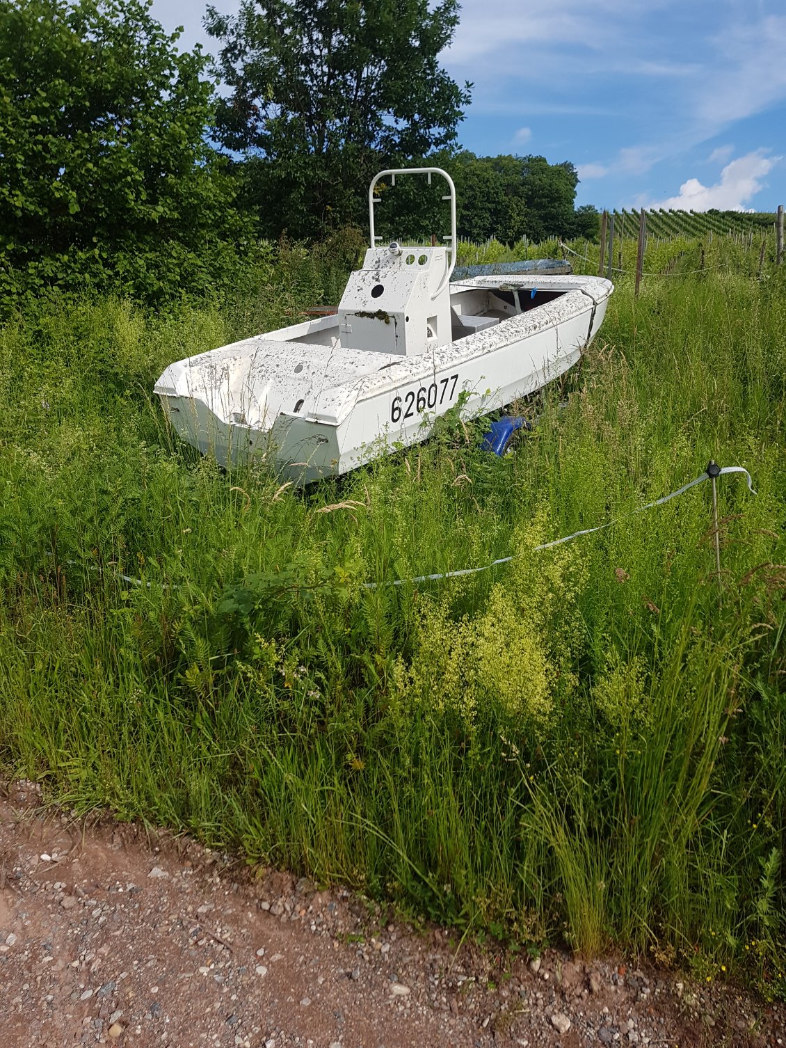 Un bateau échoué au milieu des vignes d'Alsace !