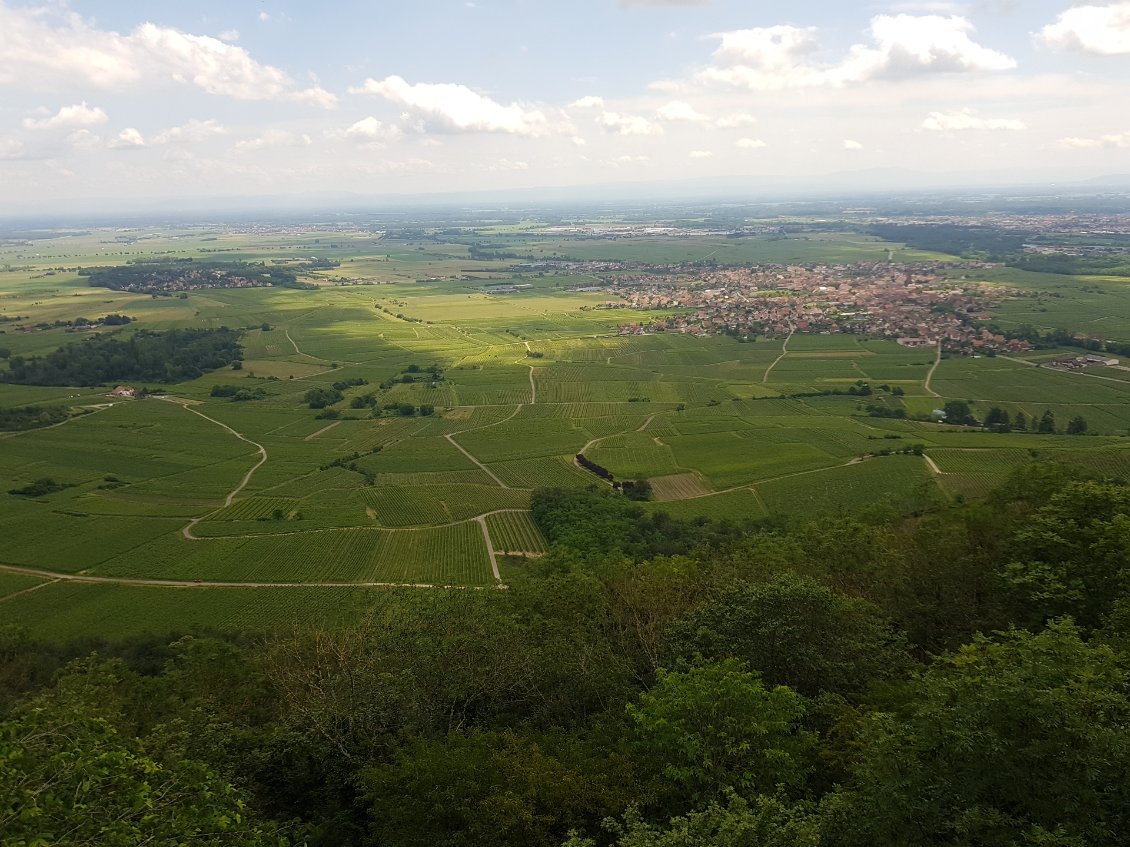 ... et sa magnifique vue sur la vallée et le village de Scherwiller (Châtenois est au fond à droite).