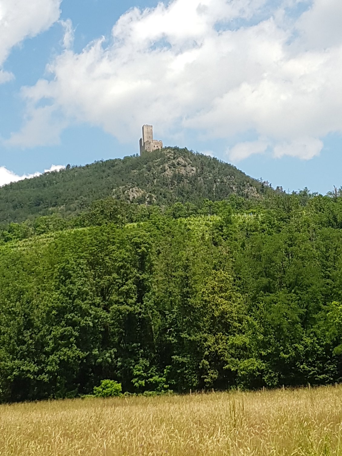 Le château d'Ortenboug. J'étais là-haut tout en l'heure !