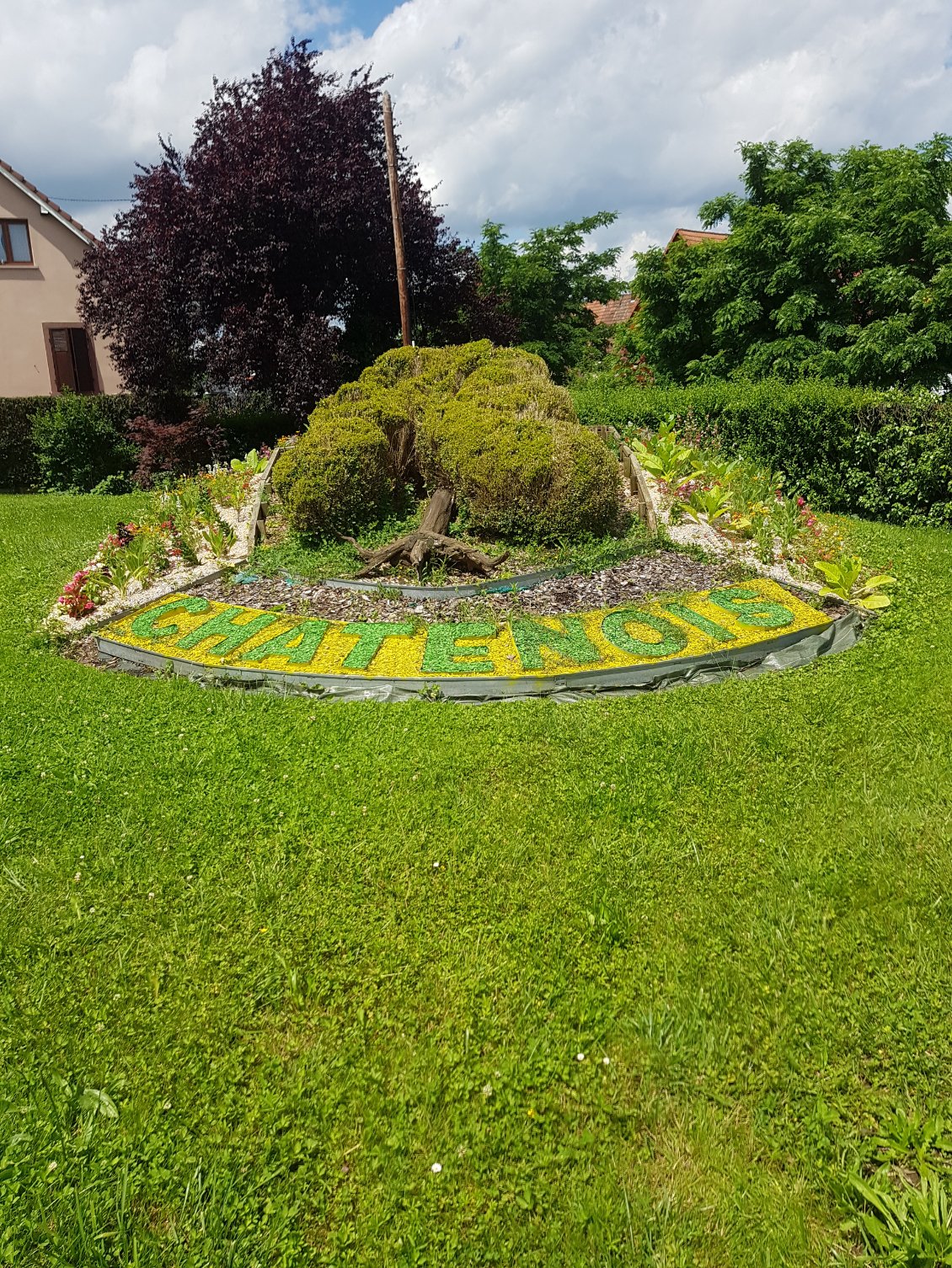 L'arrivée à Châtenois l'estomac vide, finalement !