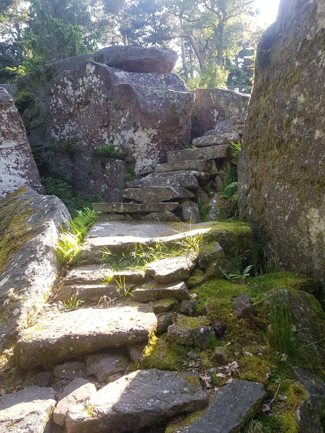 Escalier néolithique !