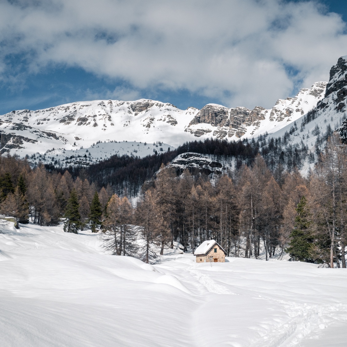 Aux cabanes de Sanguinière.