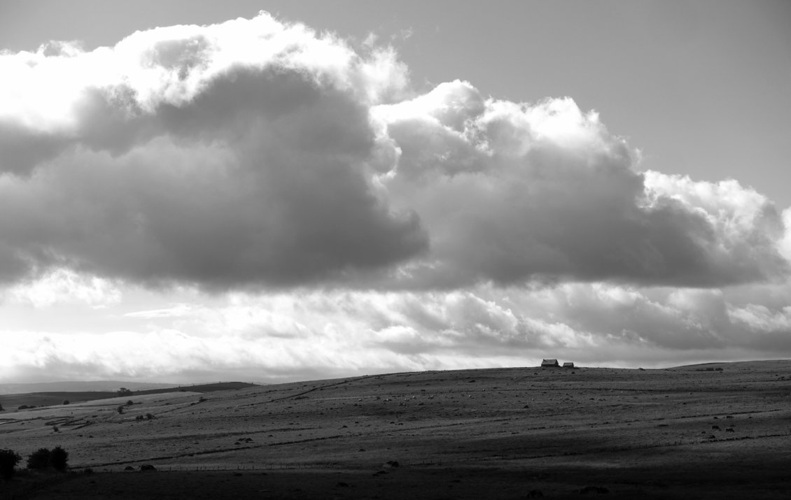 Dans l'Aubrac.