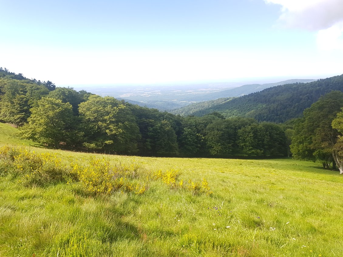 Une belle vue sur la vallée depuis le Vogelstein.