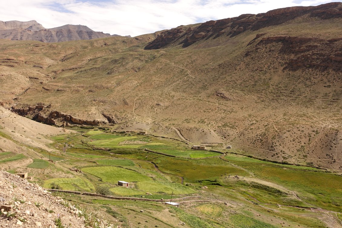 De temps en temps, une touche de vert dans la palette des couleurs minérales, signale la présence d'eau et de cultures