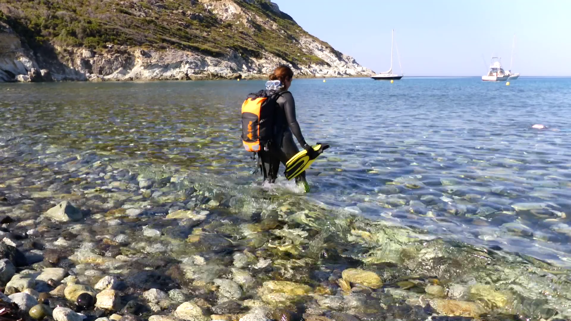 Cover of Sea trekking dans les eaux corses