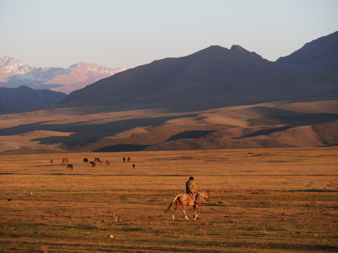 Des chevaux, des montagnes et des steppes, l'âme du Kirghizistan