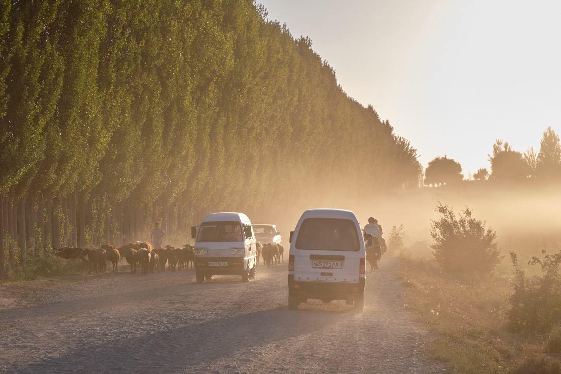 Ouzbekistan-De nouveau sur nos vélos dans la vallée de Ferghana