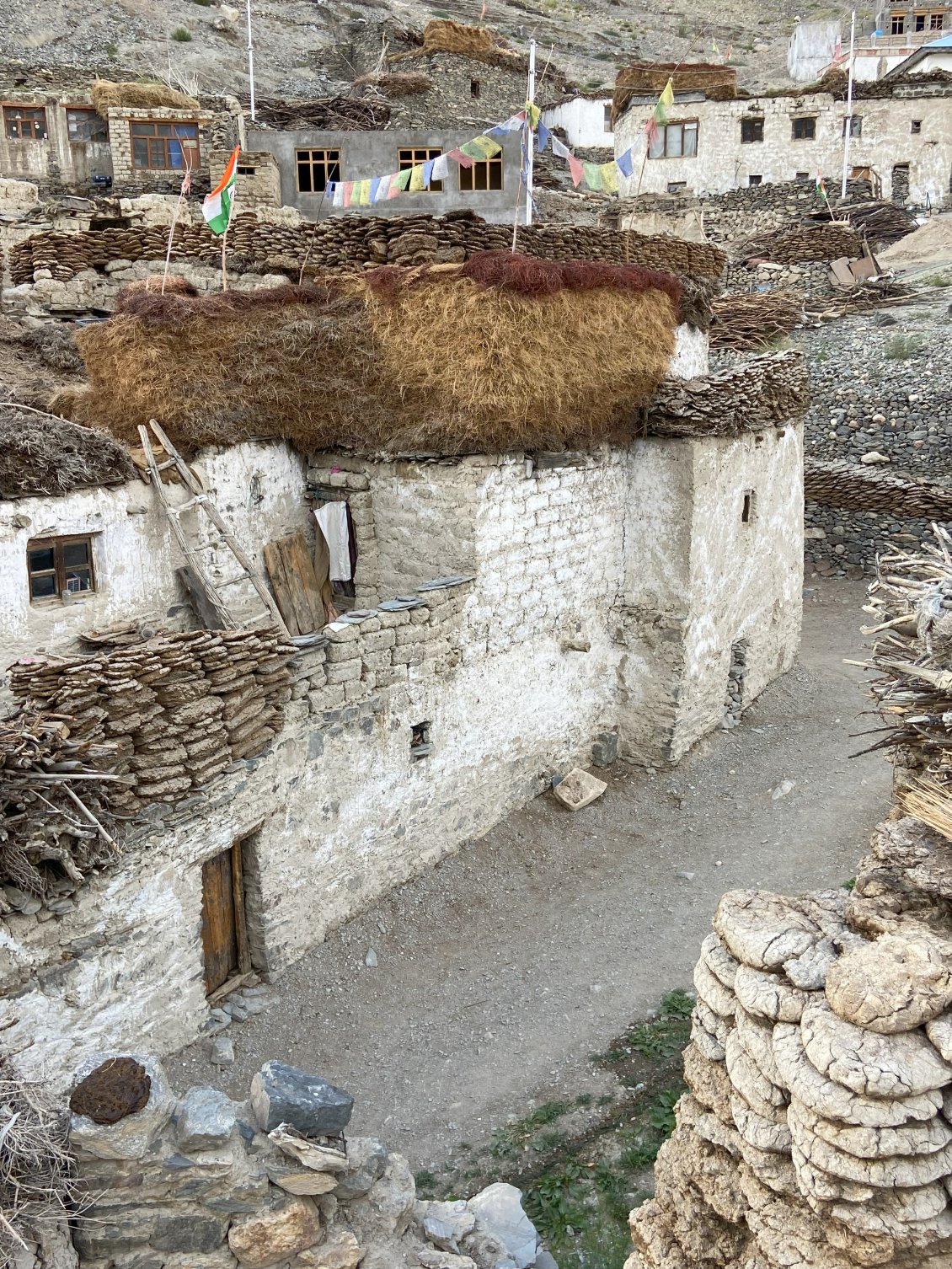 Comme partout, le foin et les bouses sont mis à sécher sur le toit des maisons.