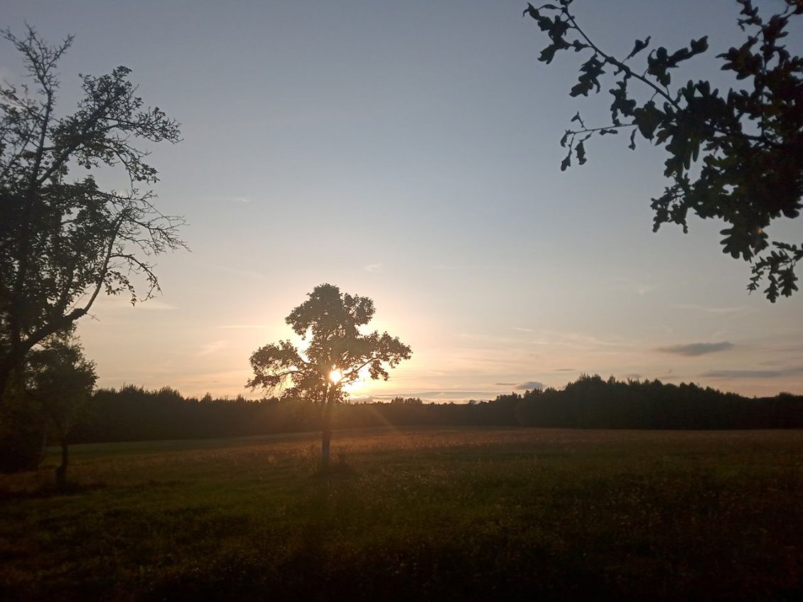 Coucher de soleil depuis le bivouac dans un verger.