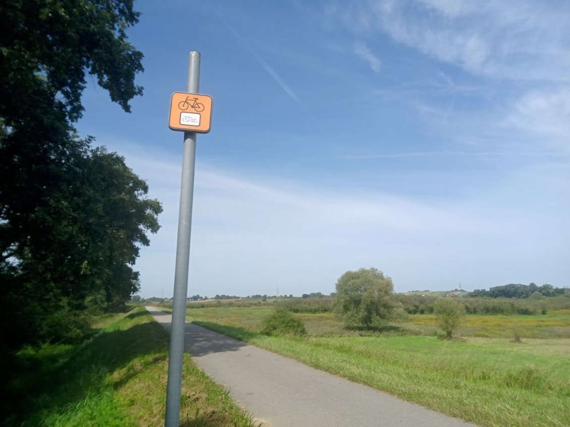 Une voie verte longe la Vistule sur des dizaines de kilomètres. Bien agréable d'être loin du trafic.