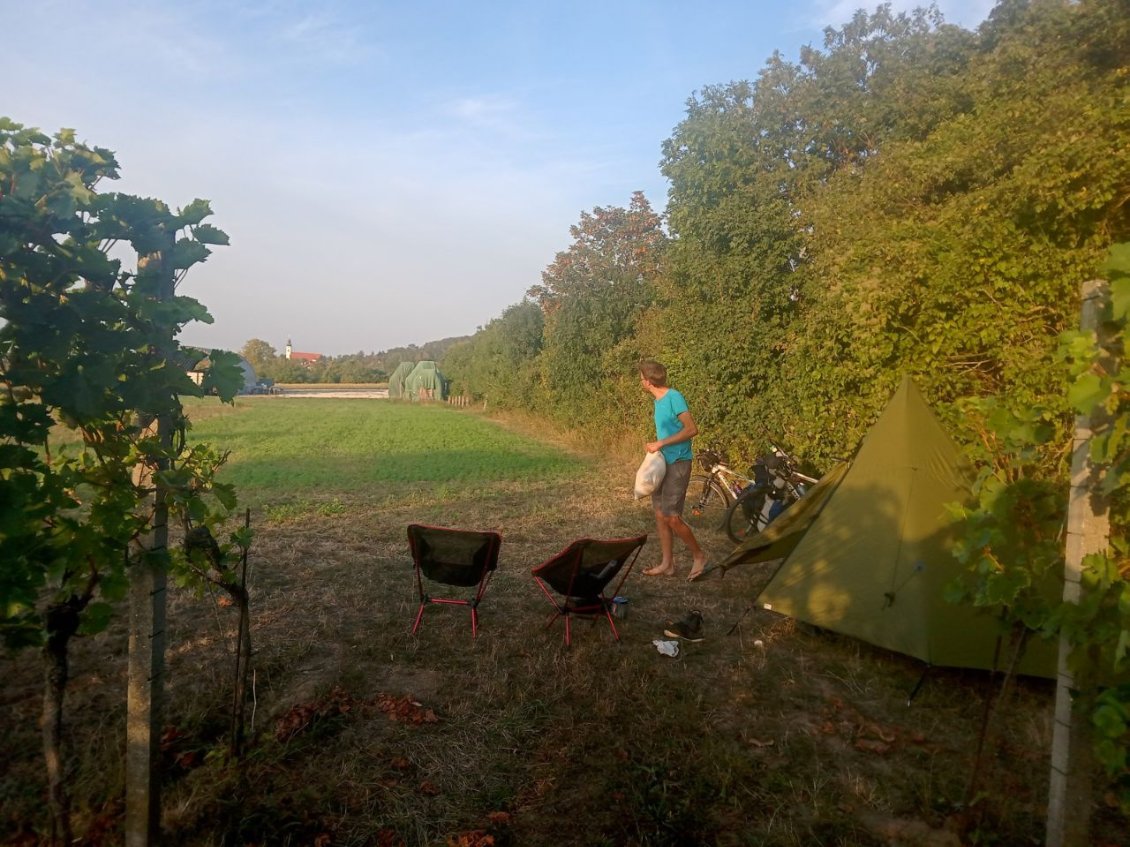 Bivouac dans les vignes, trop bien