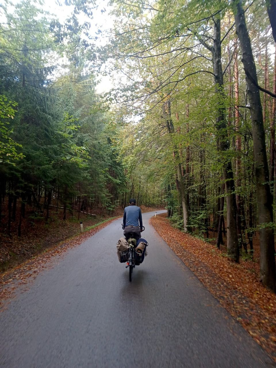 Et les belles forêts bien dense.