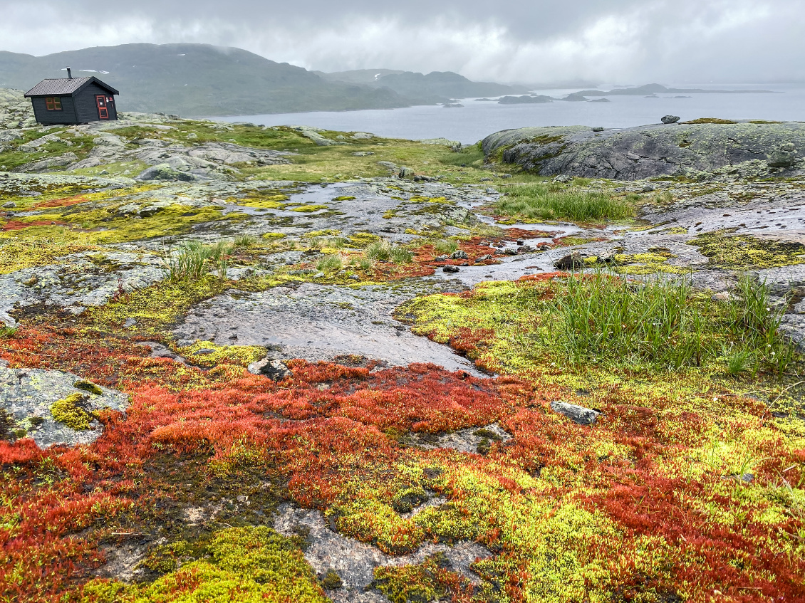 Marche et littérature en Norvège.