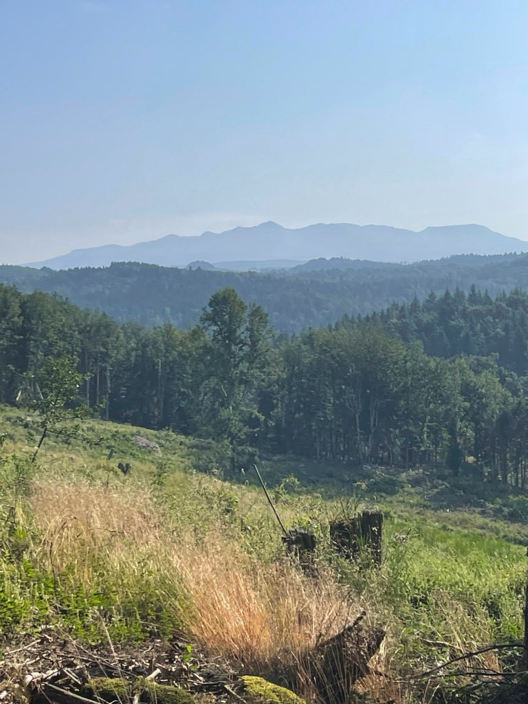 Au loin, les Monts du Cantal