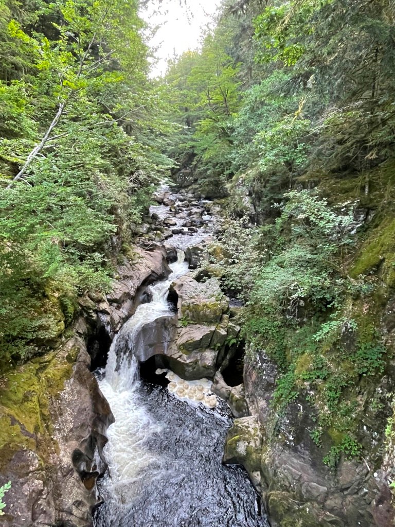 Les gorges de la Tarentaine