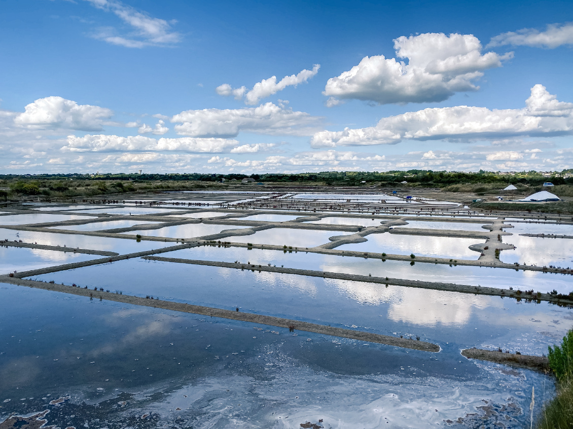 Marais salants de Guérande. Photo : Jeanne Fauquenot