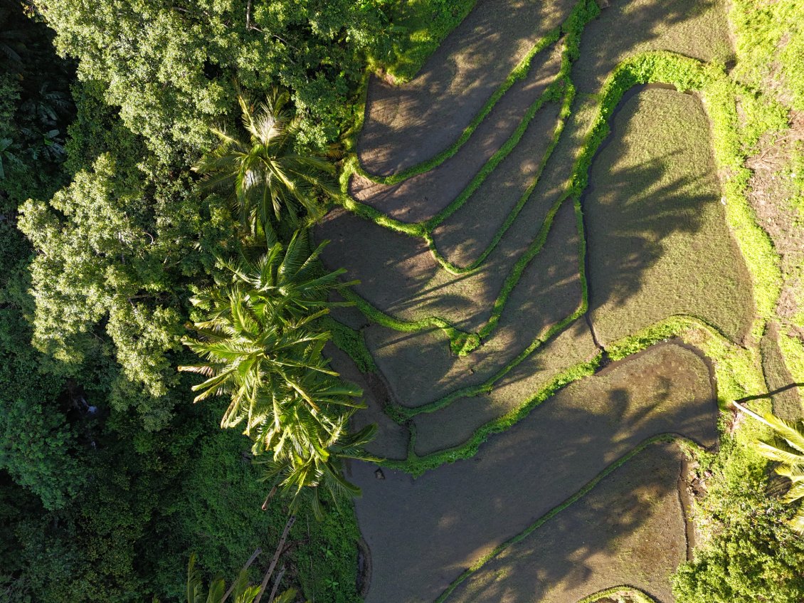 Ils descendent de la montagne environ une fois par mois pour se procurer des produits spécifiques tels que du sel, sucre et café.