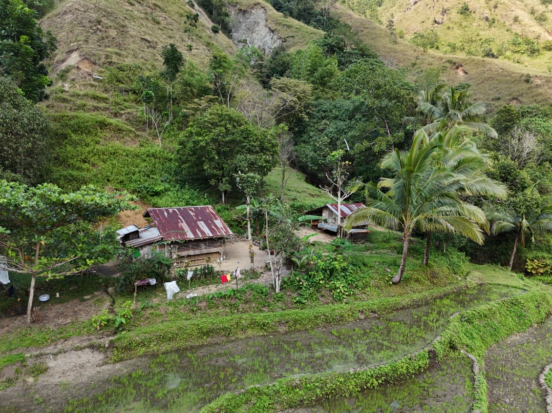 La maison est isolée dans les montagnes. Ils n'ont encore jamais eu de visiteurs étrangers.