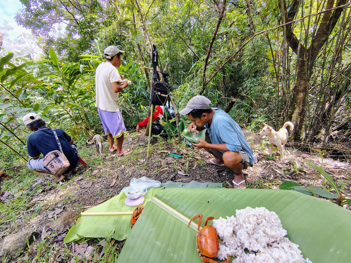 Si la vache est introuvable, tout n'est pas perdu pour la journée puisqu'il reste suffisamment de crabes du matin pour un boodle fight.