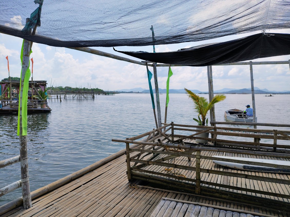 Je retrouve des amis philippins pour un déjeuner - karaoké sur une structure flottante en bambou. Elle est tractée pour être amarrée sur un plan d'eau marin, à l'écart de tout.