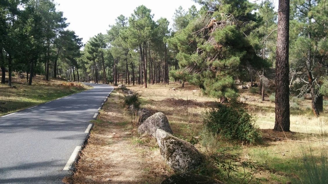 Les petites routes de moyenne montagne. Pas de circulation et beaucoup d'ombre !