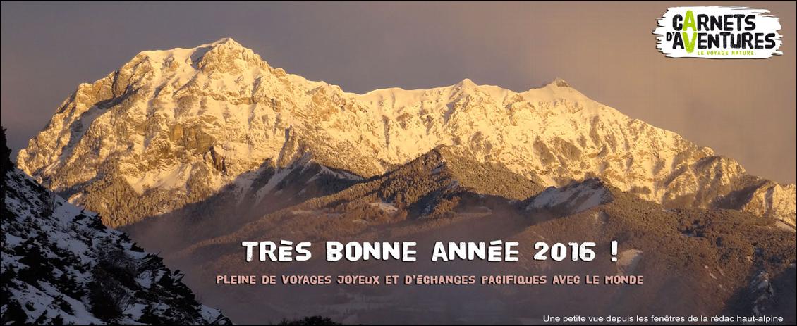 bonne-annee-2016