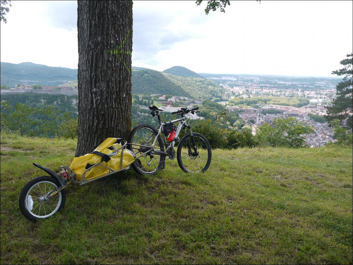 La bob Ibex au repos