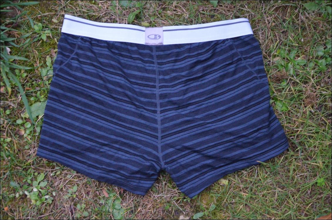 Anatomica Boxers Stripe ICEBREAKER