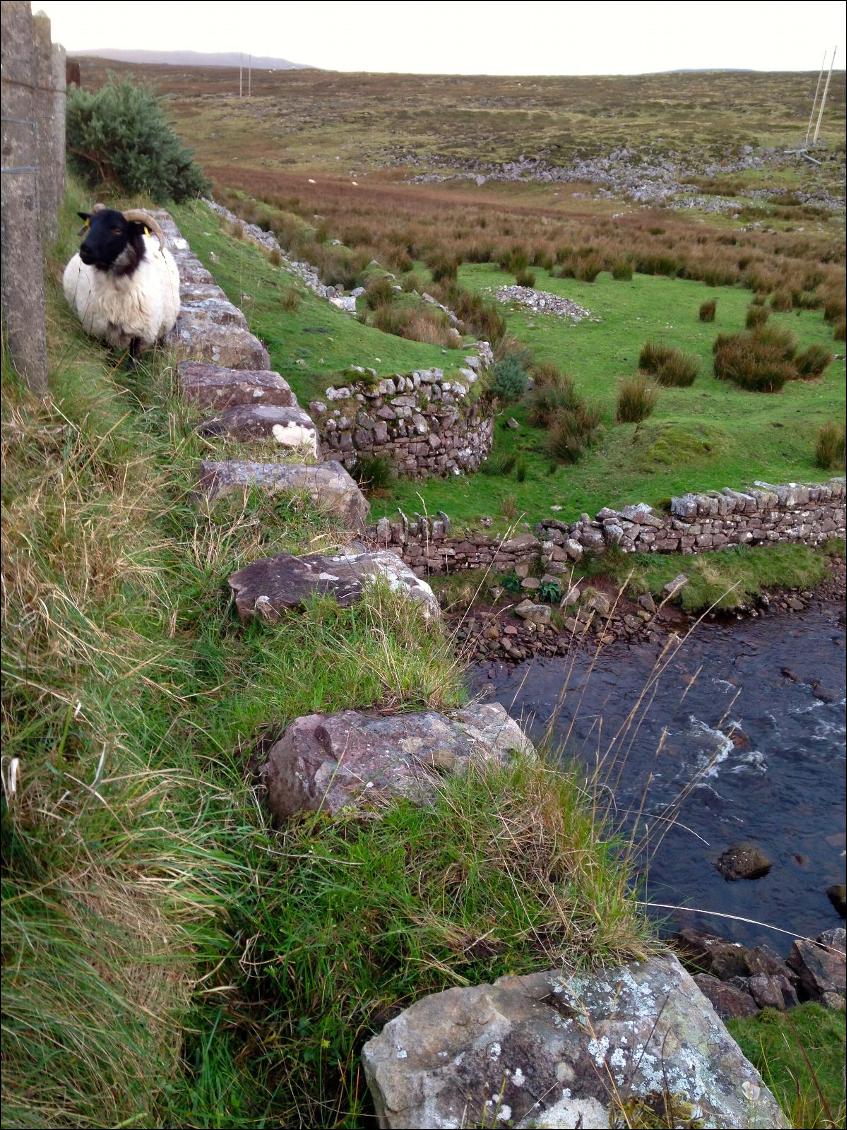 Sommet Mondial du Voyage d'Aventure, Irlande