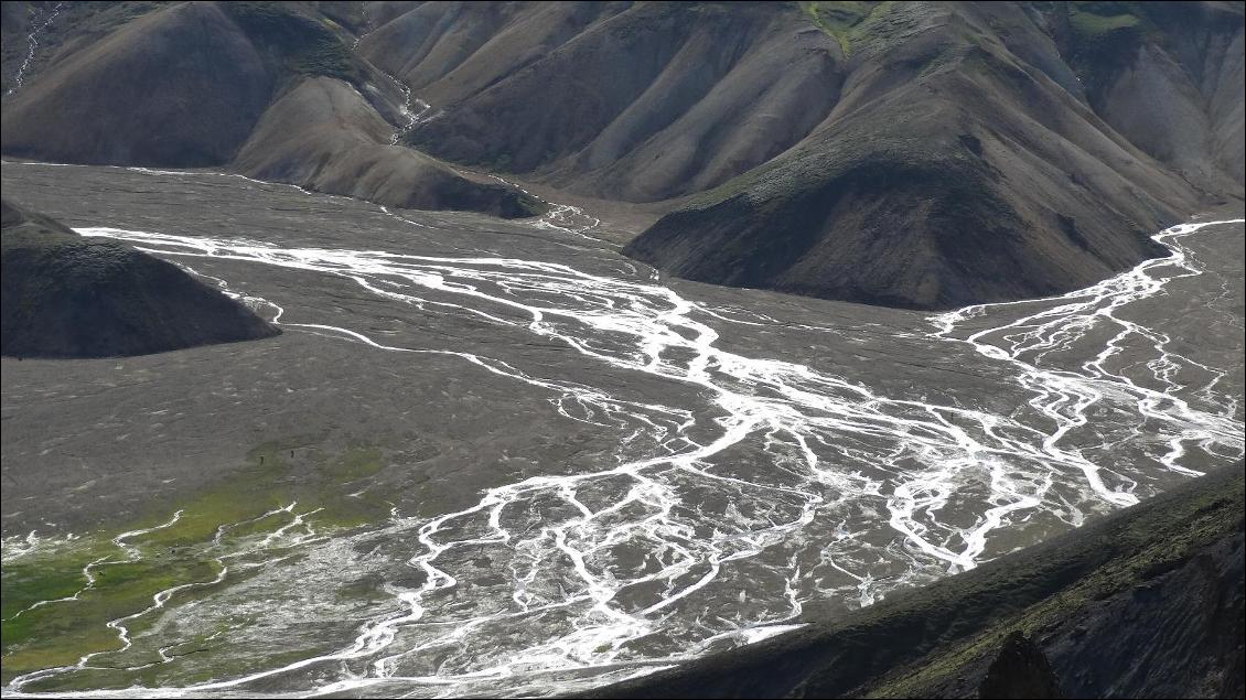 Jeux de lumières sur ramifications de rivières