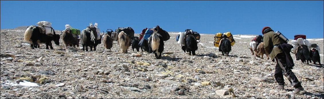 Tibet, Gurla Mandata, 7760 m