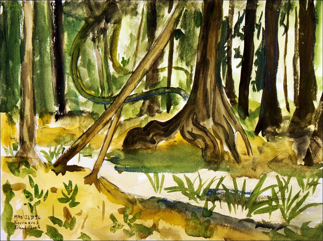 Aquarelle de l'auteur : une crique dans la jungle