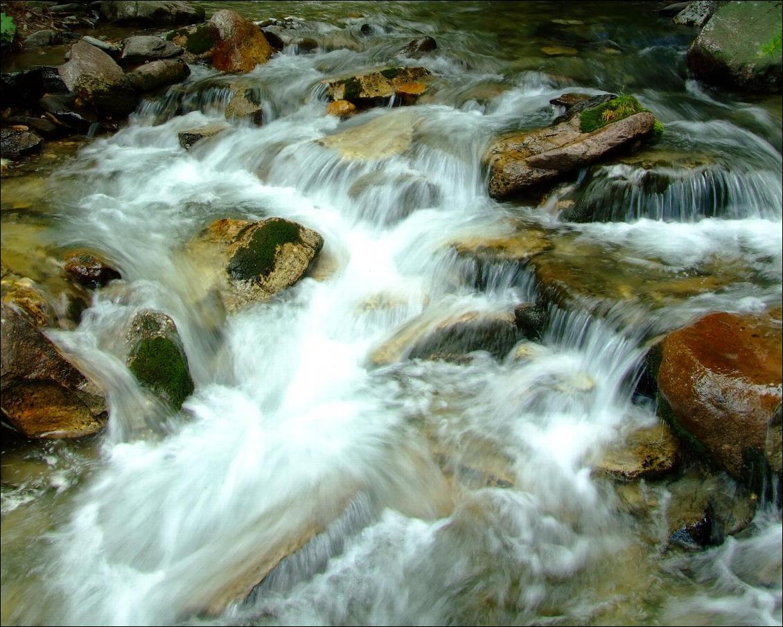 La pêche en voyage nature