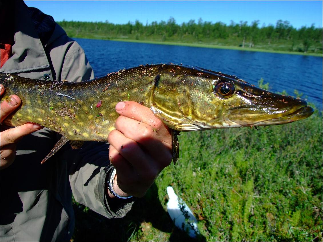 La pêche en voyage nature