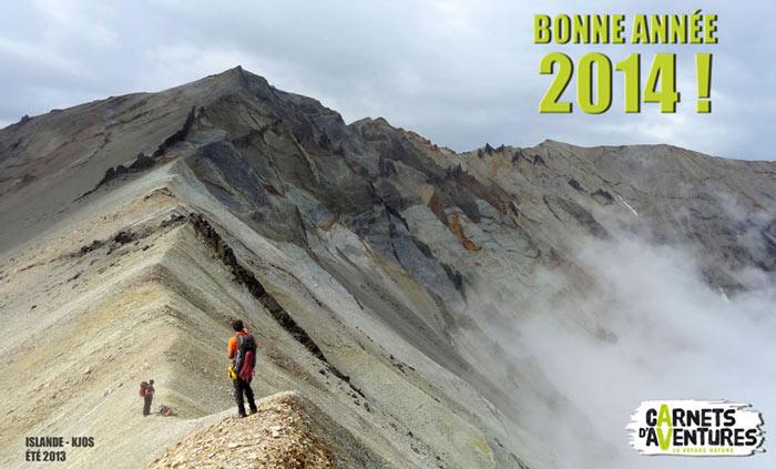 bonne-annee-2014