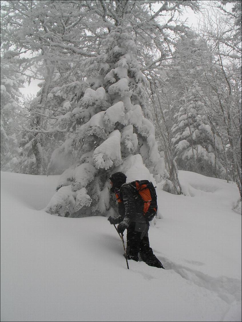 Montagne hivernale