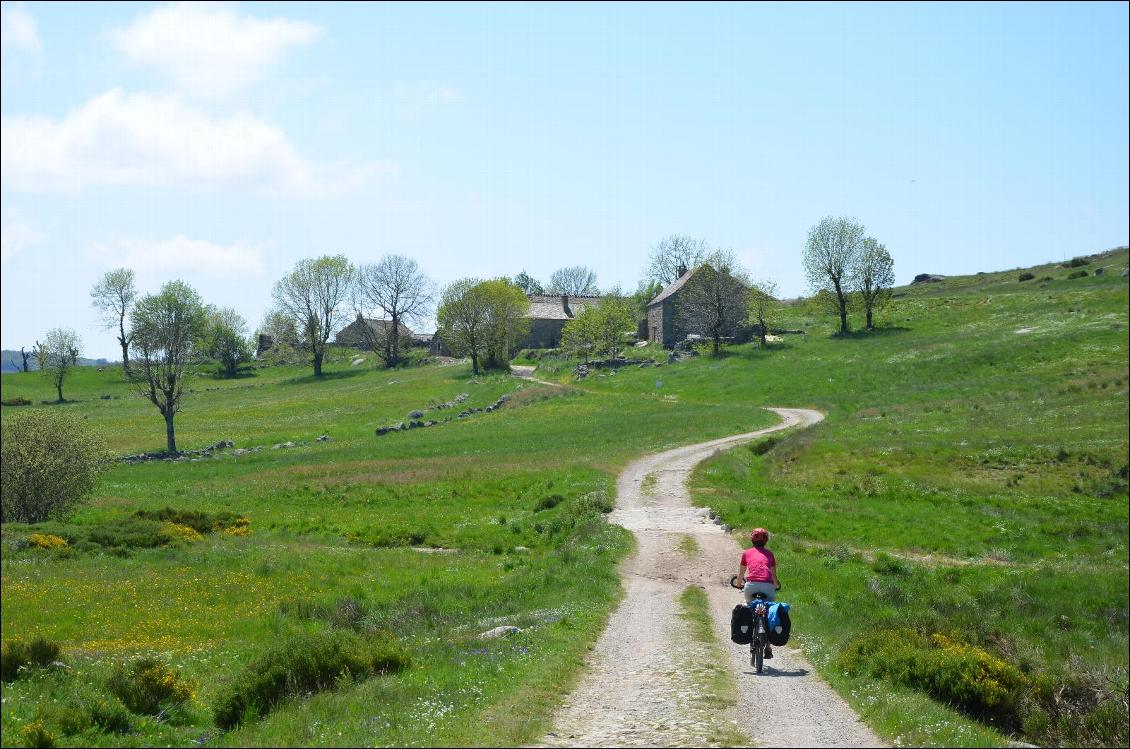 Au pied du mont Lozère, dans le parc national des Cévennes