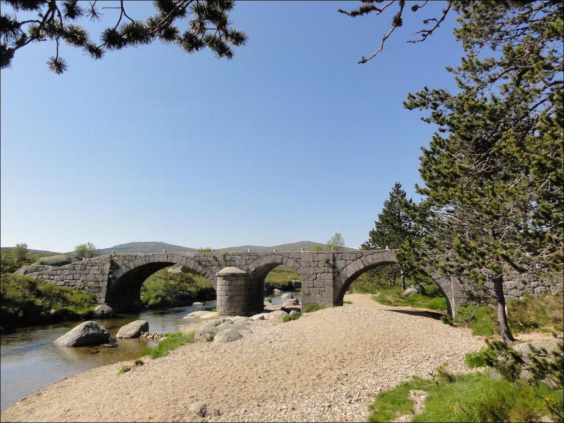 Le pont du Tarn près de sa source