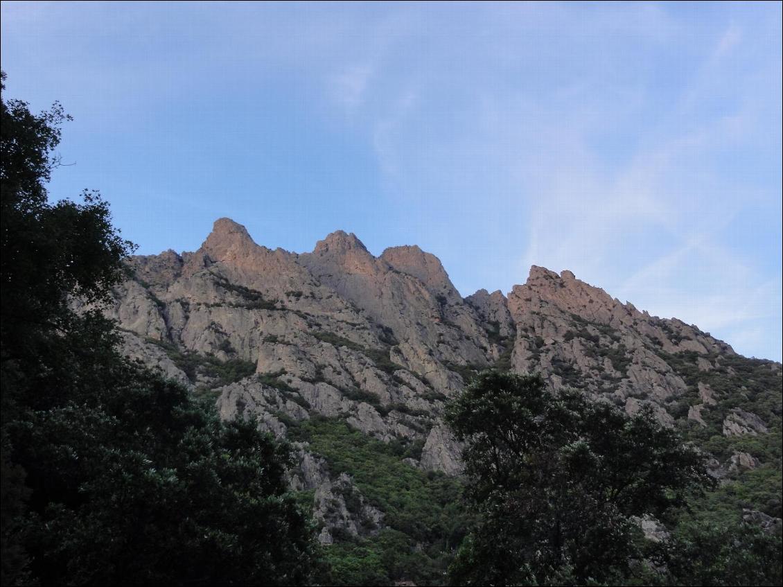 Le massif du Caroux