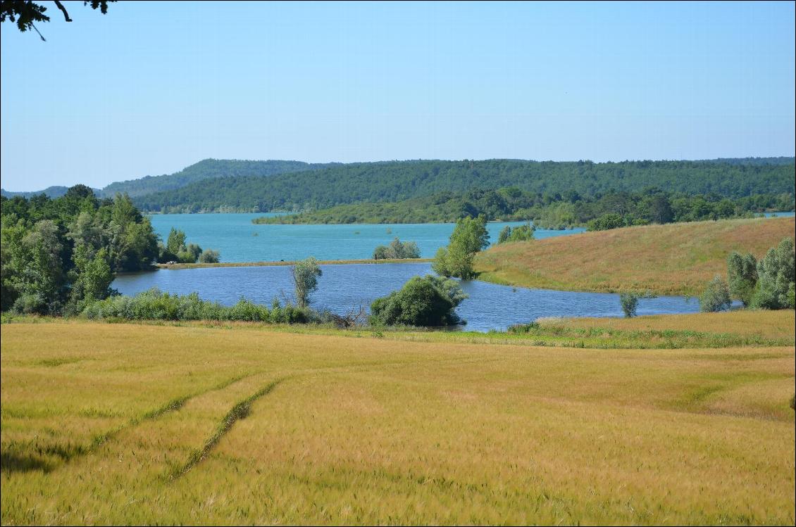 Le lac de Montbel, Ariège